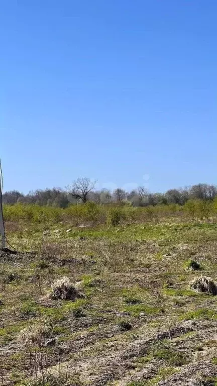 Участок в Калининградская область, Зеленоградский муниципальный округ, ... - Фото 2