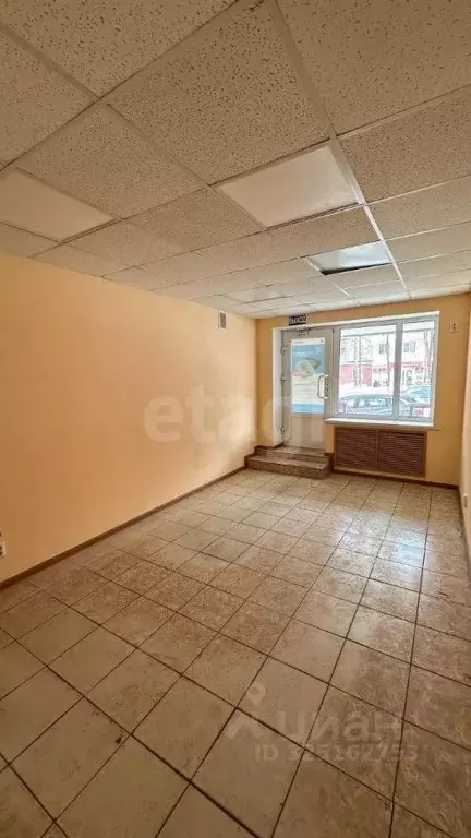 Торговая площадь в Мордовия, Саранск Серадзская ул., 27 (48 м) - Фото 2