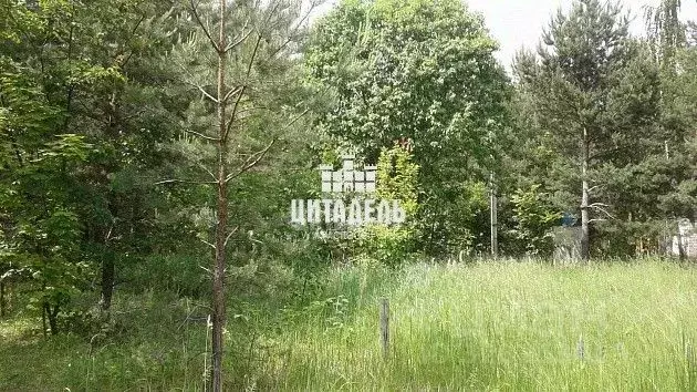 Дом в Воронежская область, Воронеж Лесовод-2 СНТ, ул. Ореховая, 2 (35 ... - Фото 2