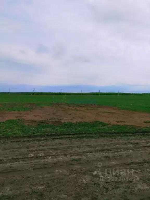 Участок в Нижегородская область, Балахнинский муниципальный округ, ... - Фото 1
