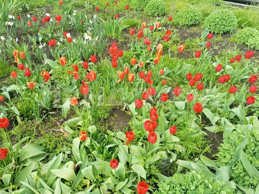 Участок в Ростовская область, Ростов-на-Дону пер. 2-й Мужественный ... - Фото 2