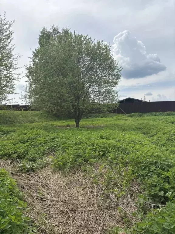 Участок в Московская область, Ступино городской округ, с. Мышенское  ... - Фото 0