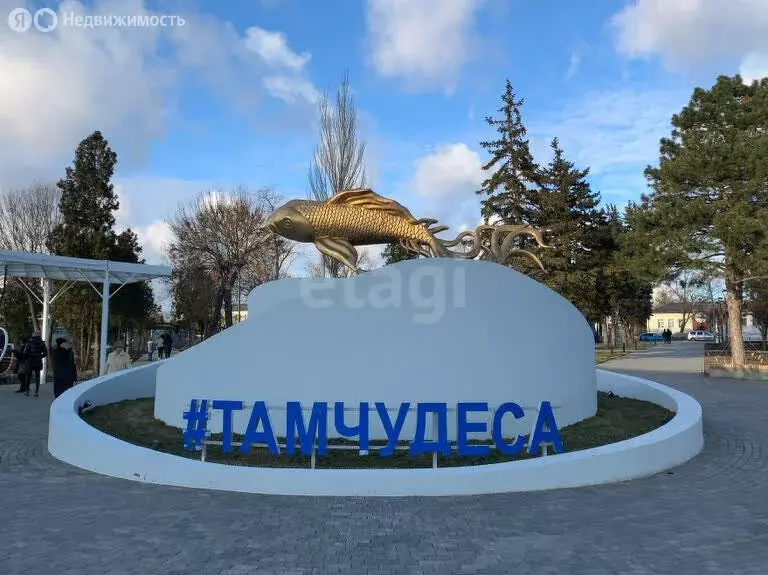 Участок в Краснодарский край, Темрюк (10 м) - Фото 0