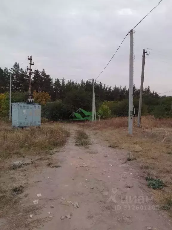 Участок в Белгородская область, Яковлевский муниципальный округ, Нива ... - Фото 1
