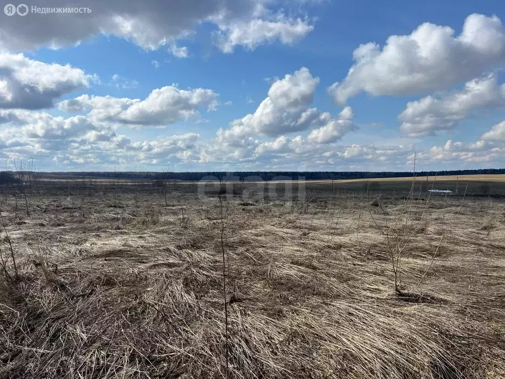 Участок в Вологодский муниципальный округ, посёлок Грибково (12.13 м) - Фото 1