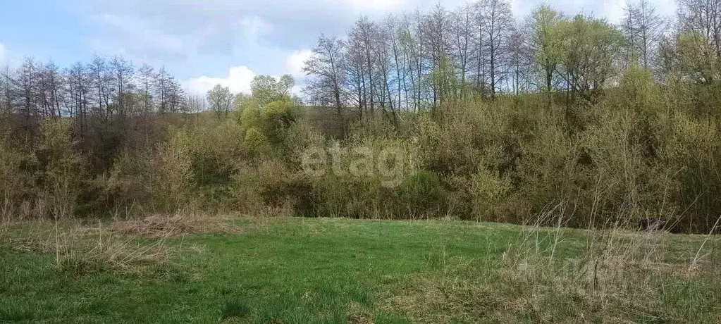 Участок в Воронежская область, Семилукский район, с. Девица ... - Фото 0