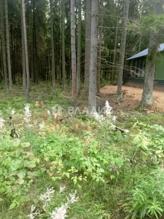 Участок в Ленинградская область, Всеволожский район, Юкковское с/пос, ... - Фото 2