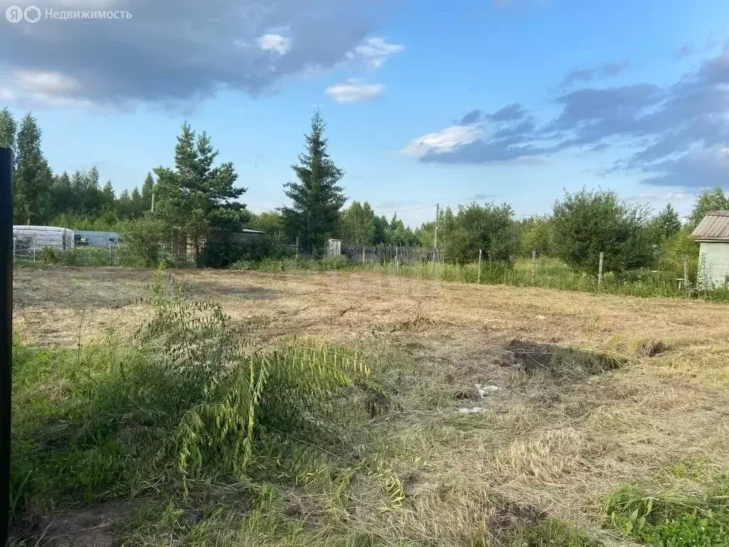 Участок в Ульяновск, СНТ Дендрарий (6 м) - Фото 0