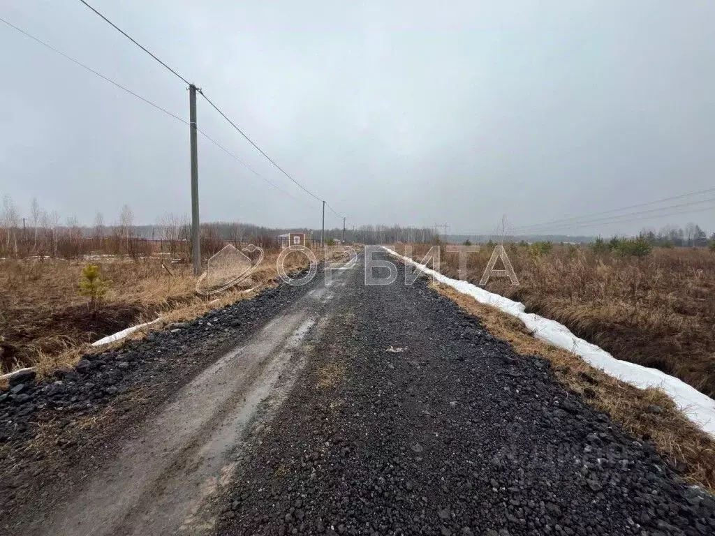 Участок в Тюменская область, Тюменский район, с. Кулига  (8.0 сот.) - Фото 1