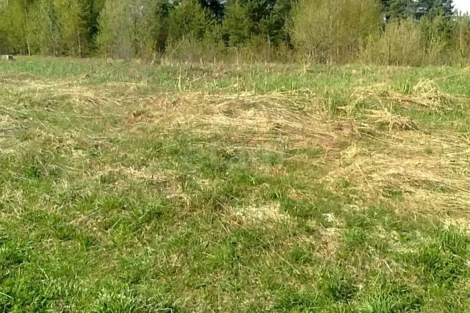 Участок в Курская область, Курский район, Нижнемедведицкий сельсовет, ... - Фото 1