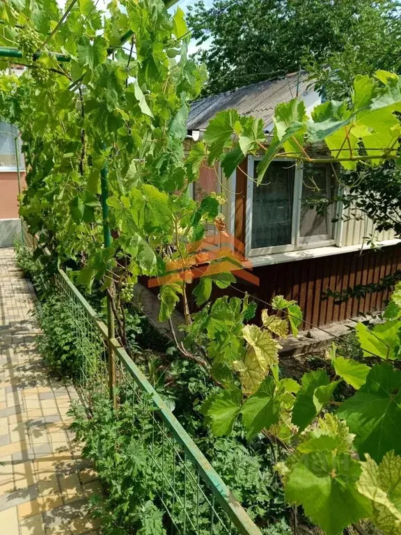 Дом в Крым, Феодосия ул. Челнокова (83 м) - Фото 2