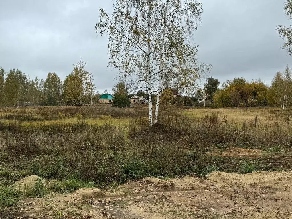 Участок в Московская область, Богородский городской округ, Обухово рп, ... - Фото 0