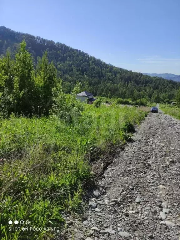 Участок в Алтай, Майминский район, Манжерокское с/пос, с. Озерное ул. ... - Фото 1