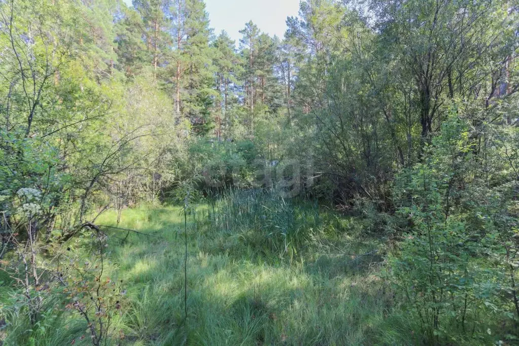 Участок в Иркутская область, Усольский район, Железнодорожное с/пос, ... - Фото 2