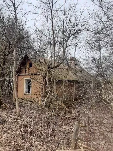 Дом в Ленинградская область, Волосовский район, Большеврудское с/пос, ... - Фото 0