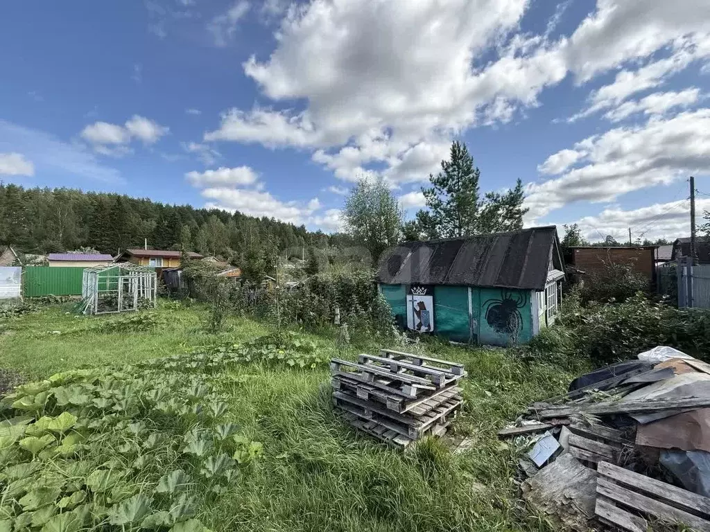 Участок в Марий Эл, Йошкар-Ола Мичуринец СНТ, 7/33 (6.0 сот.) - Фото 0