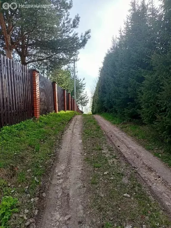 Участок в деревня Хирвости, Центральная улица, 48А (22 м) - Фото 0
