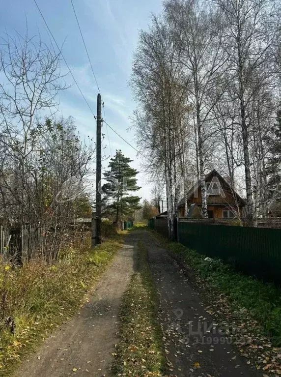 Участок в Тюменская область, Тюменский район, Лесник-2 СНТ ул. ... - Фото 1