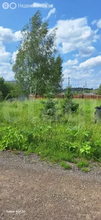 Участок в Московская область, городской округ Солнечногорск, КП ... - Фото 1