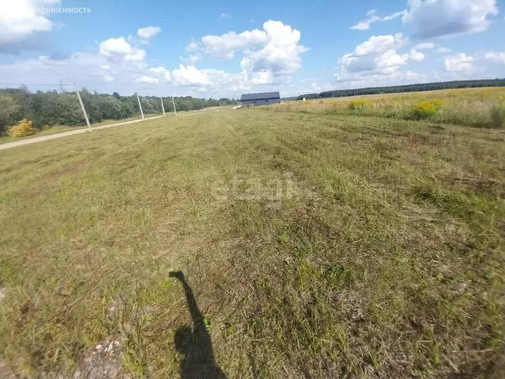 Участок в Нижегородская область, Кстовский муниципальный округ, ... - Фото 1