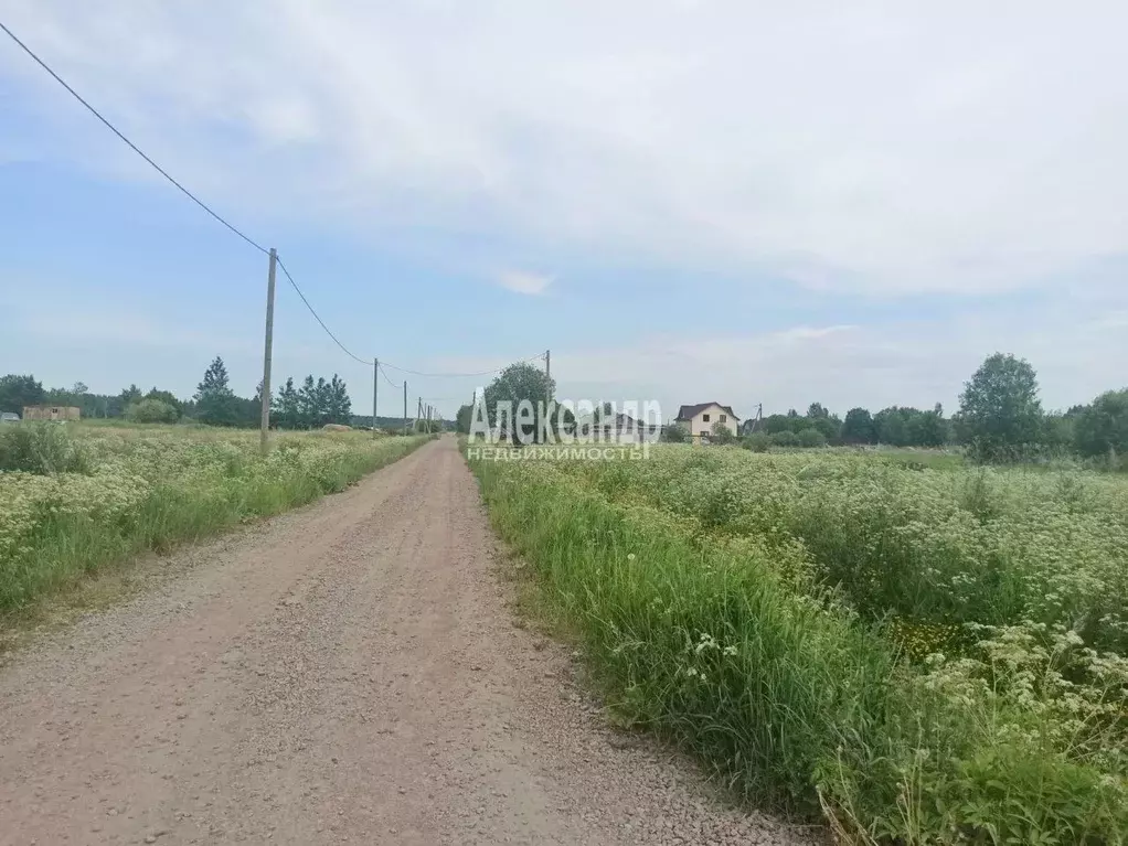 Участок в Ленинградская область, Выборгский район, пос. Селезнево ... - Фото 1