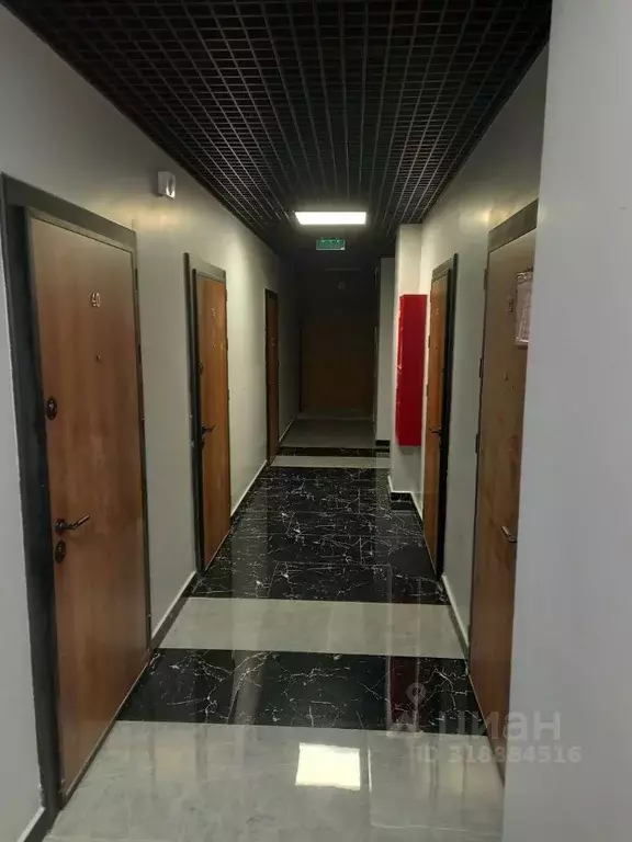 Студия Краснодарский край, Сочи городской округ, Дагомыс пгт ш. ... - Фото 1