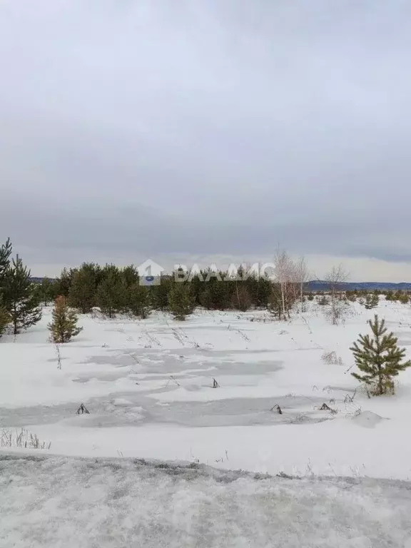 Участок в Иркутская область, Иркутский муниципальный округ, д. Карлук  ... - Фото 2