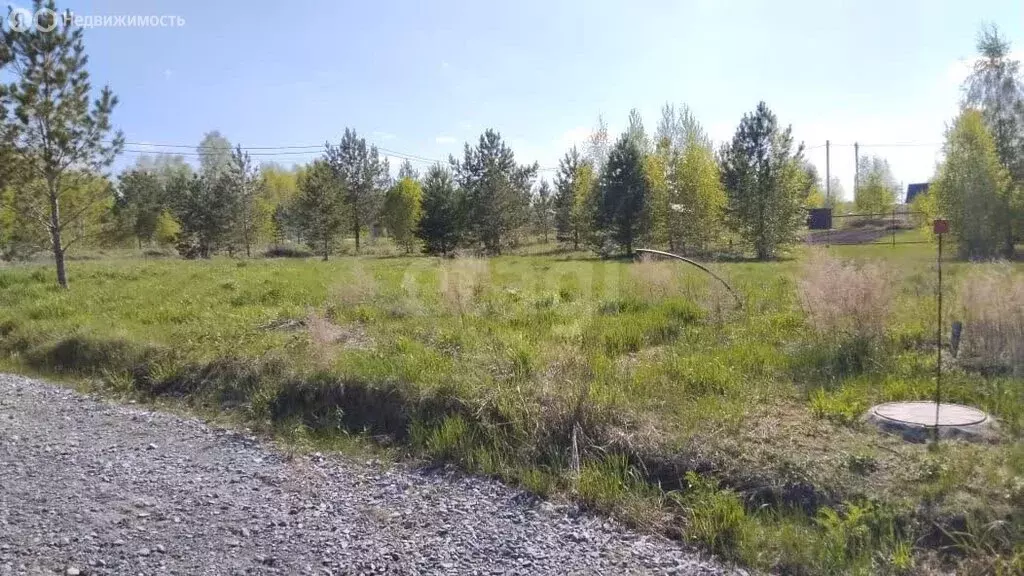 Участок в Искитимский район, село Быстровка (8.01 м) - Фото 0