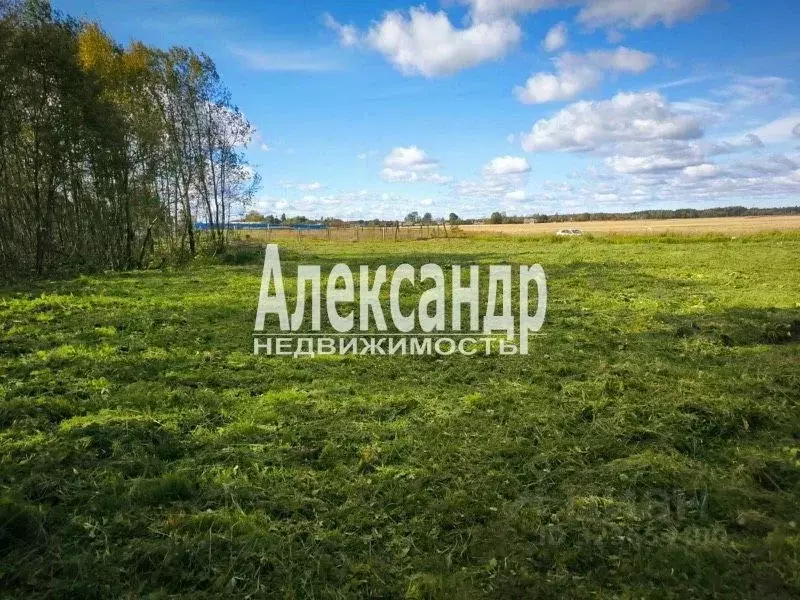 Участок в Ленинградская область, Волосовский район, д. Бегуницы  (30.0 ... - Фото 1