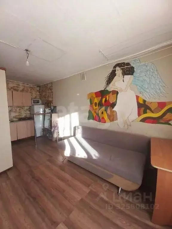 Комната Амурская область, Благовещенск Нагорная ул., 16 (18.3 м) - Фото 1