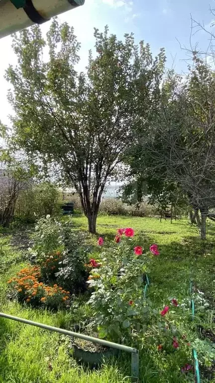 Дом в Курганская область, Курган Приозерный СНТ,  (12 м) - Фото 1