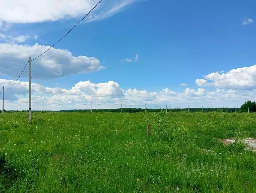 Участок в Владимирская область, Судогда ул. Ошмарина (12.0 сот.) - Фото 2