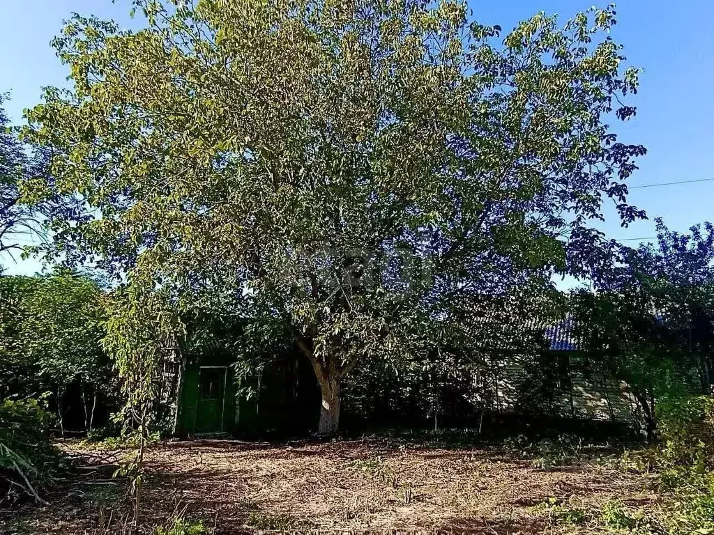 Участок в Ростовская область, Ростов-на-Дону Покровский пер. (7.24 ... - Фото 1