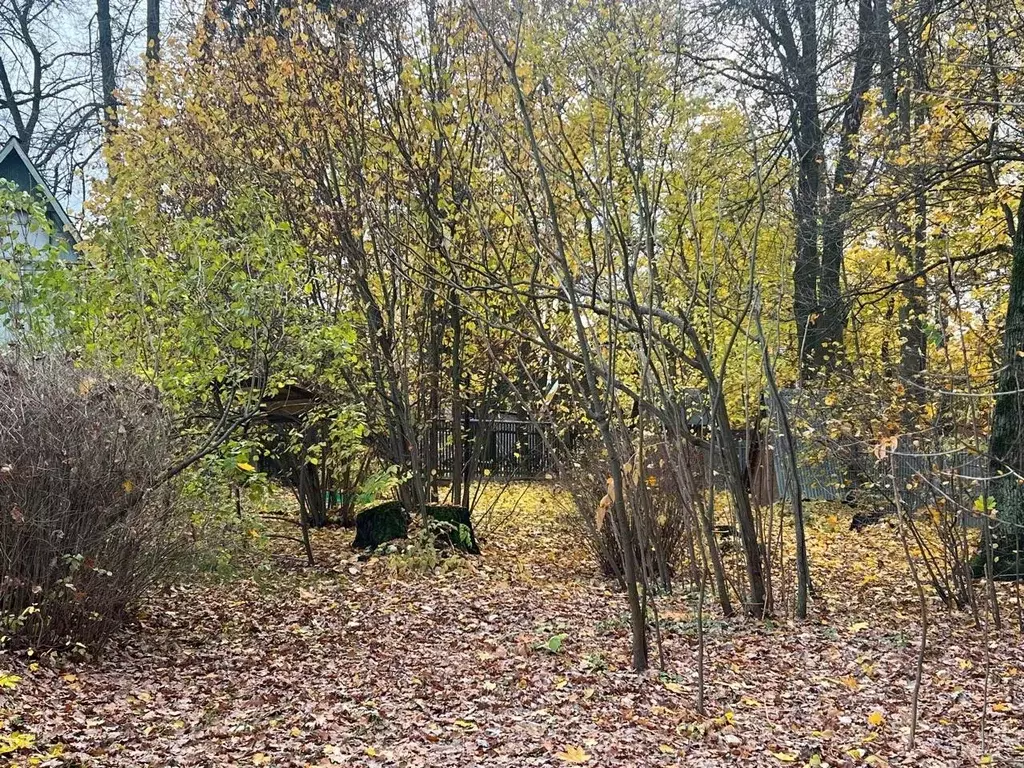Участок в Московская область, Щелково городской округ, Загорянский пгт ... - Фото 1