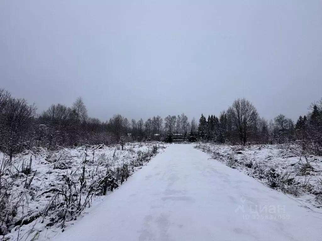 Участок в Московская область, Солнечногорск городской округ, ВамДом ... - Фото 1