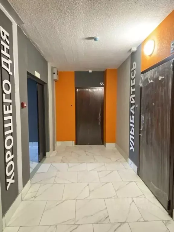 2-к кв. Костромская область, Кострома ул. Димитрова, 17 (55.0 м) - Фото 0