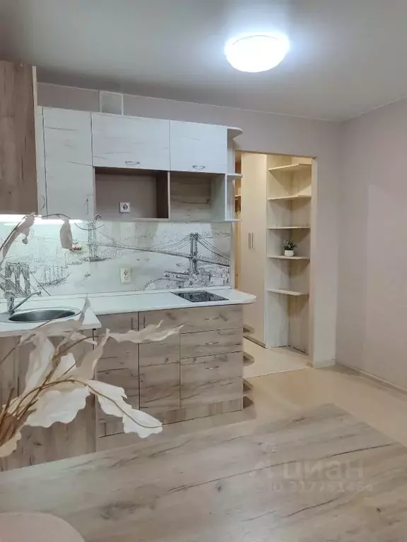 Студия Кировская область, Киров Луговой пер., 1 (25.0 м) - Фото 0