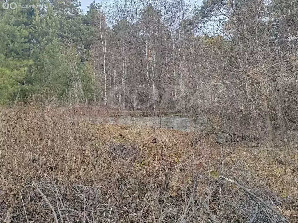 Участок в Нижнетавдинский район, село Тюнево (19.6 м) - Фото 0