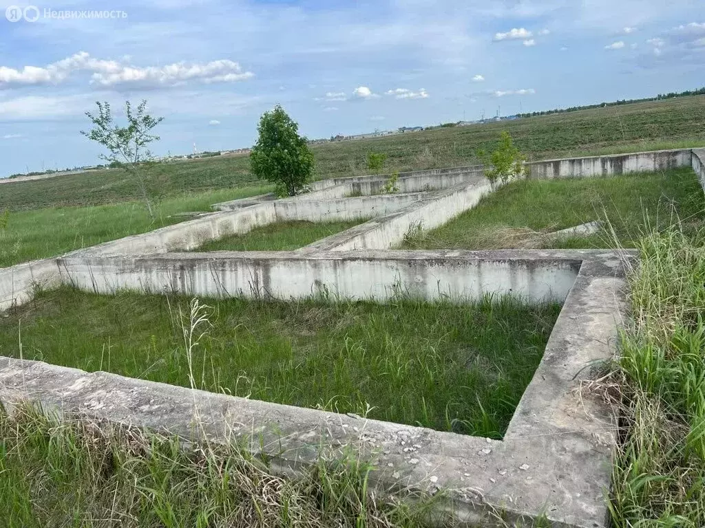 Участок в Омский район, село Дружино (20696 м) - Фото 1