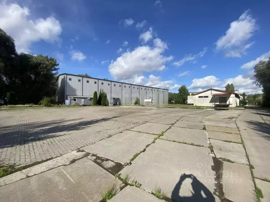 Склад в Калининградская область, Калининград ул. Каштановая Аллея, 1А ... - Фото 1