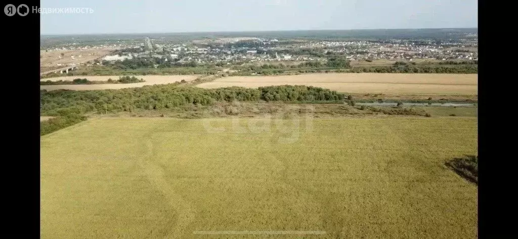 Участок в Хвощеватка, Абрикосовая улица (7.09 м) - Фото 2