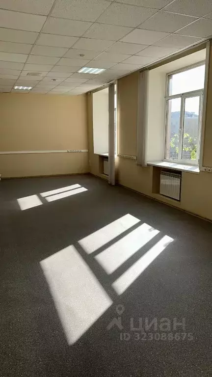 Офис в Нижегородская область, Нижний Новгород просп. Ленина, 20 (44 м) - Фото 2