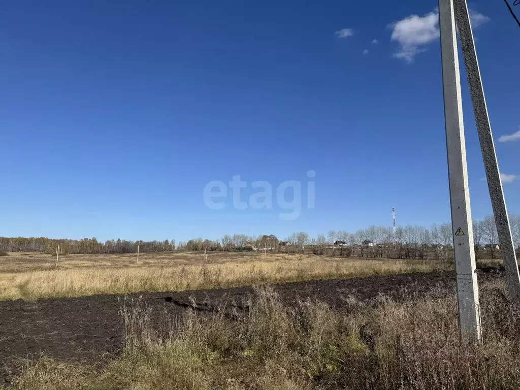 Участок в Курганская область, Шадринский муниципальный округ, с. Ключи ... - Фото 1