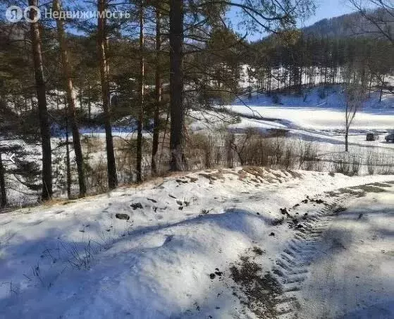 Участок в Чемальский район, Узнезинское сельское поселение, село ... - Фото 2
