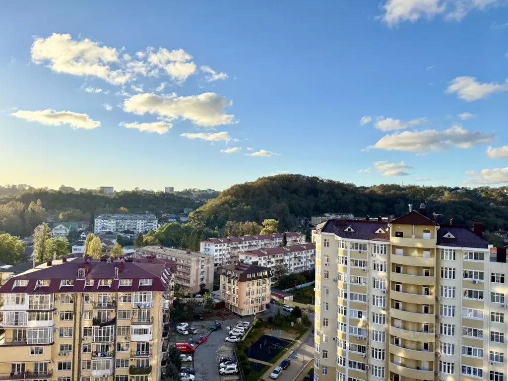 Свободной планировки кв. Краснодарский край, Сочи городской округ, с. ... - Фото 1