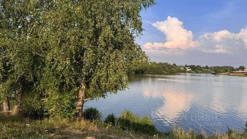 Участок в Московская область, Чехов городской округ, Сосновый берег 3 ... - Фото 1