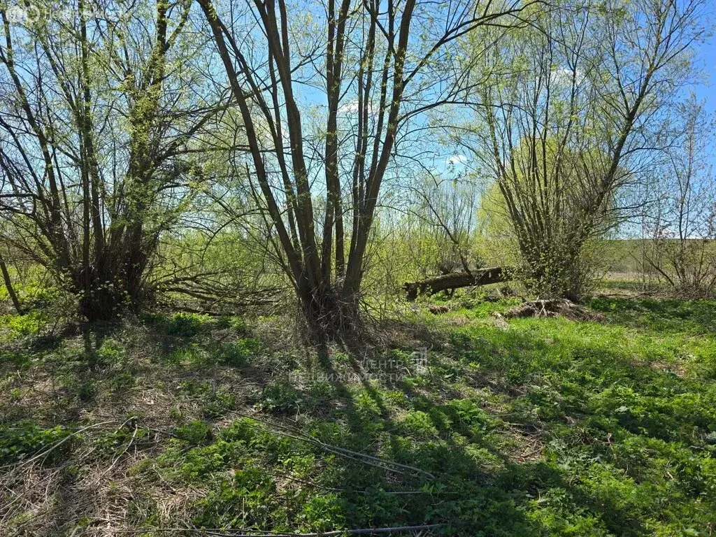 Участок в деревня Надеждино, улица Космонавтов (15 м) - Фото 2