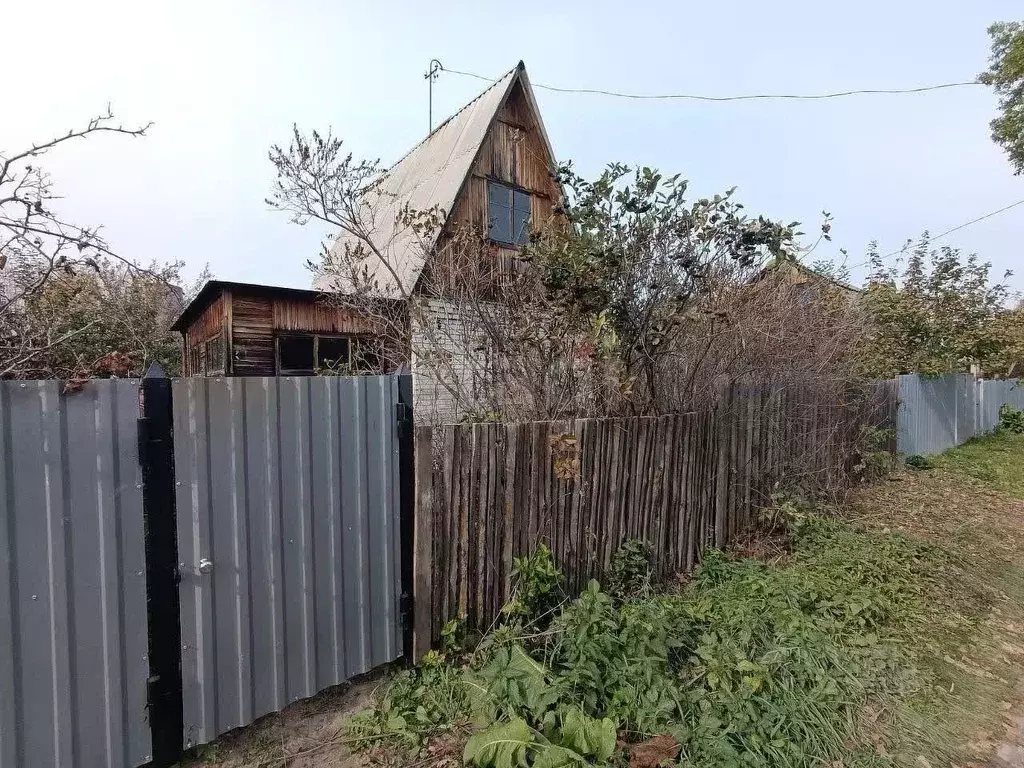 Дом в Курганская область, Курган Земледелец СНТ, ул. Яблоневая, 87 (31 ... - Фото 1