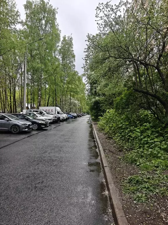 2-к кв. Санкт-Петербург Светлановский просп., 101 (45.0 м) - Фото 2