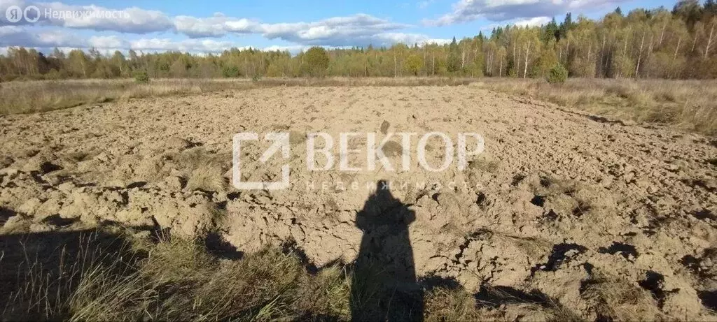 Участок в Судиславский район, Расловское сельское поселение, деревня ... - Фото 1